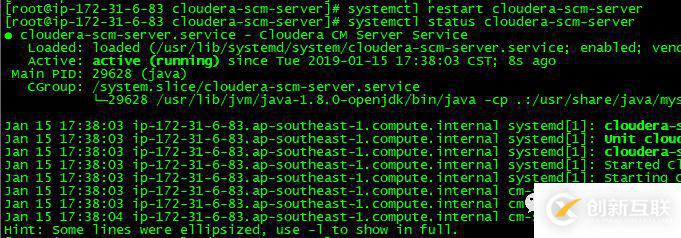 如何对Cloudera  Manager的数据库密码进行脱敏