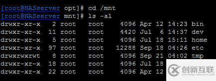 因NAS存储故障引起的Linux系统恢复的过程分析