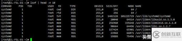 如何理解Linux系统中的lsmod、lsof、lspci、lsscsi命令及如何实践