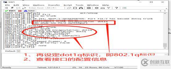 通过Trunk链路实现跨VLAN的通信