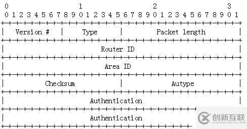 OSPF报文详解