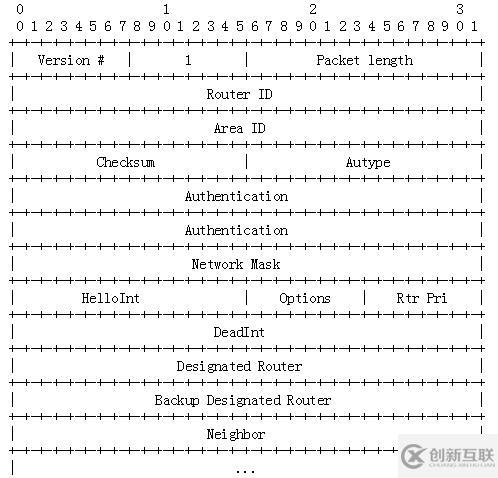 OSPF报文详解