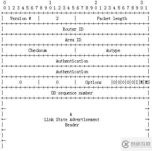 OSPF报文详解