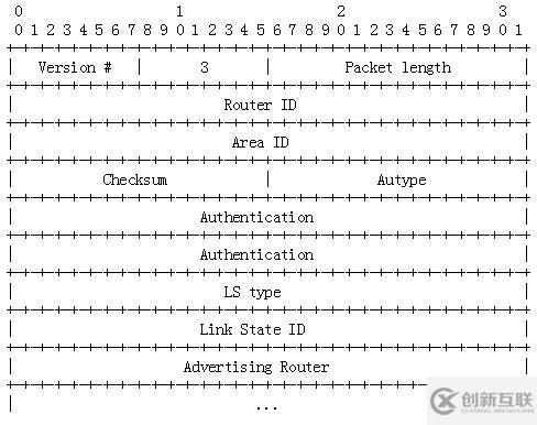 OSPF报文详解