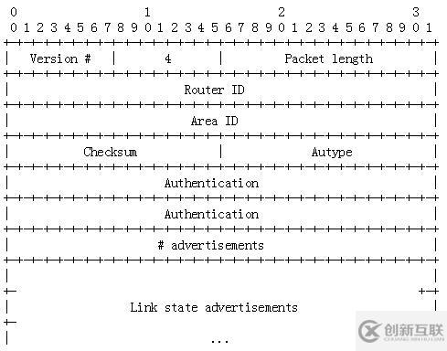 OSPF报文详解