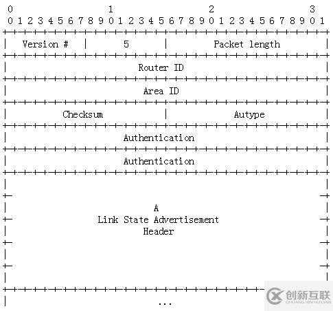 OSPF报文详解