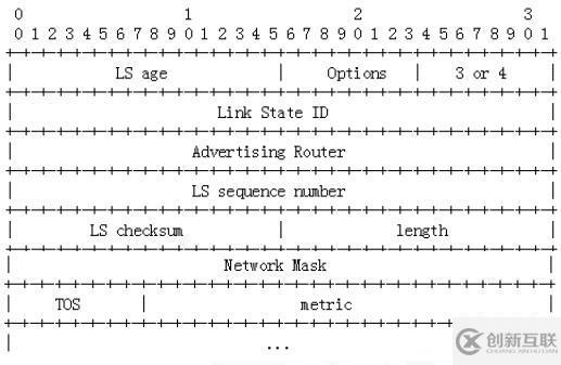 OSPF报文详解