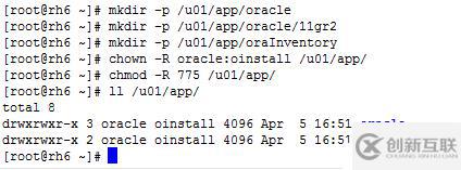 RedHat 6 静默安装Oracle 11gR2