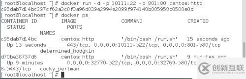 docker的网络管理（1)