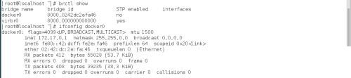 docker的网络管理（1)