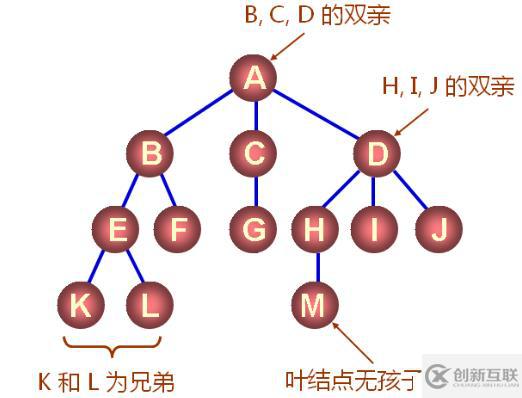 数据结构（十三）——树