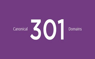 canonical、301、Domains