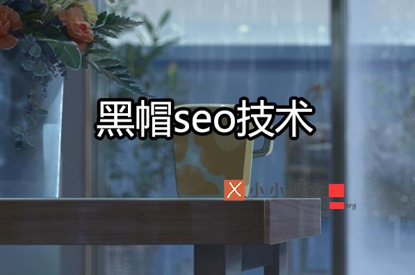 黑帽seo的网站有哪些特征？ 免费推广网站有哪些