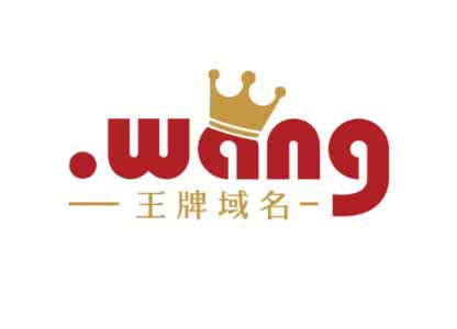 注册.wang域名怎么样 如何做网站诊断