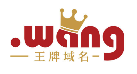 wang牌域名成就您 如何做网站seo