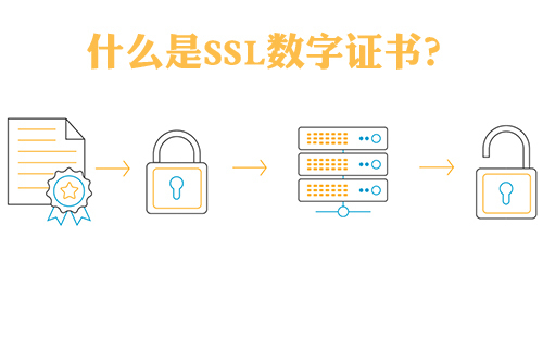 SSL数字证书