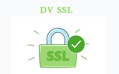 DV SSL证书