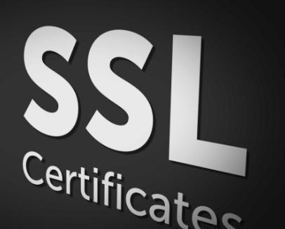 国外ssl证书的提供商有几家分别是什么