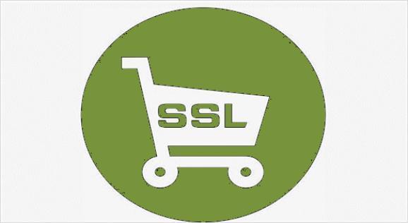 SSL代表什么意思