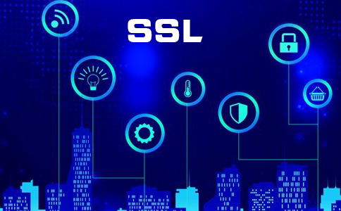 ssl网址安全性查询的方法