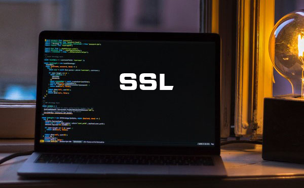 ssl的组成是什么，ssl是什么意思