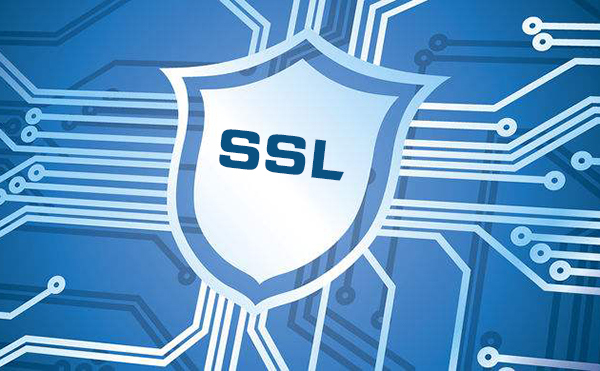 ssl漏洞检测工具的使用方法