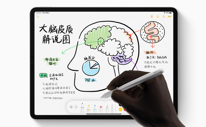 ipad cellular版是什么意思 与WLAN版有什么区别