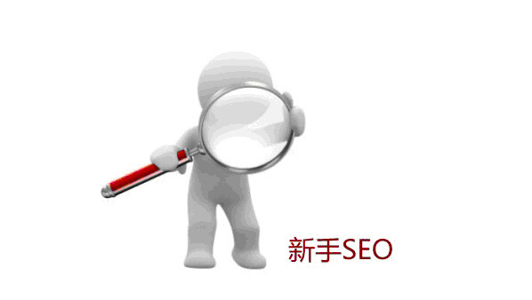 SEO 网站优化的步骤和技巧有哪些？