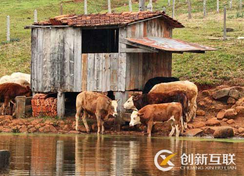 连接速度和网页设计