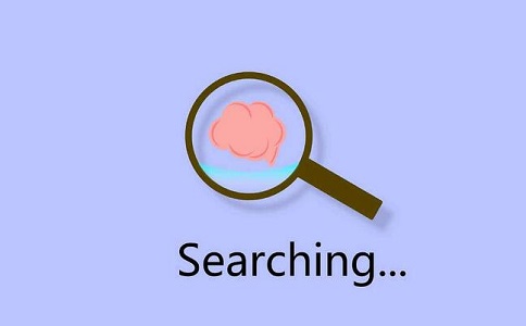搜索引擎收录与索引分析解密