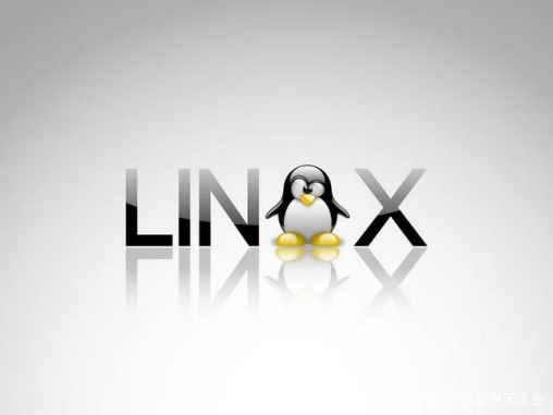 如何在Linux服务器上进行关机操作？