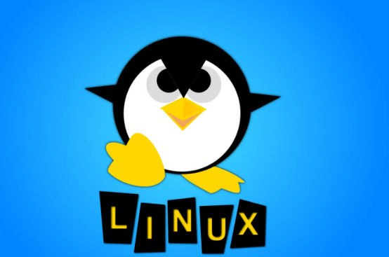 Linux 云服务器好用吗？（解读Linux云服务器的特点优势）